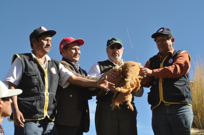 El proyecto consiste en la conservación y manejo de 0,390 vicuñas ubicadas en 07 provincias de la región Ayacucho por un periodo de tres años a fin de que las poblaciones dedicadas a la producción de