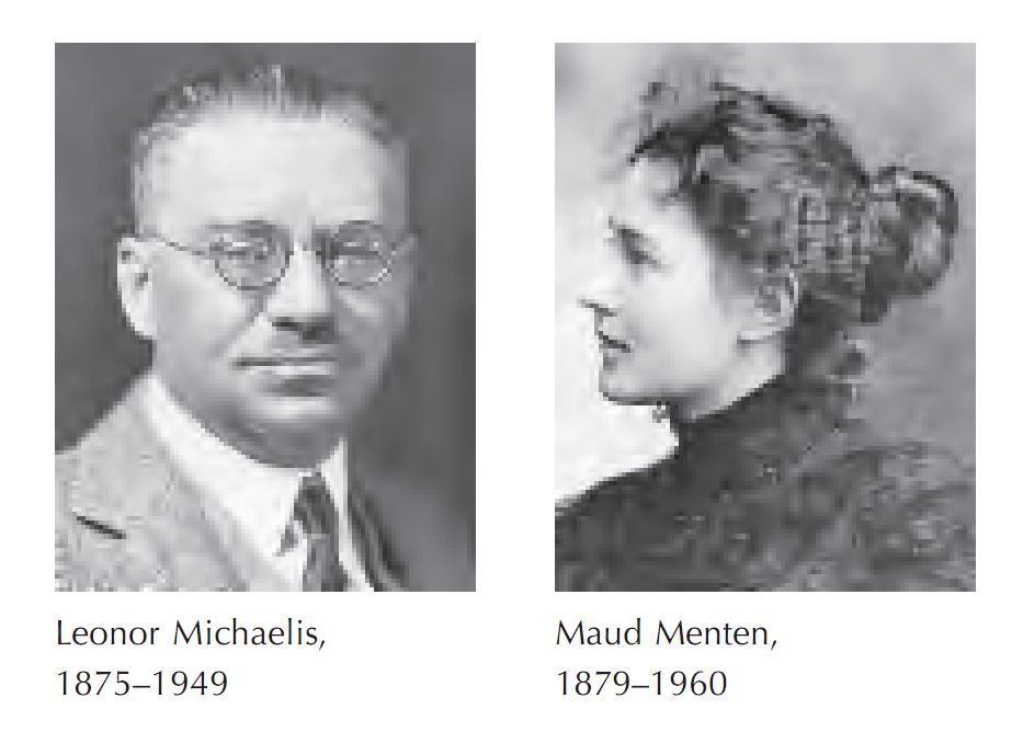 Tipos de Cinética Teoría de Leonor Michaelis y Maud L. Menten 1913 (ecuación de Michaelis-Menten).