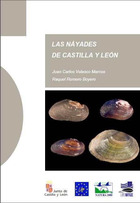 Identificación de moluscos Guías y Claves BIVALVOS (Náyades, mejillones de río) Velasco y Romero. 2006. Las náyades de Castilla y León.