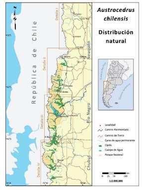Superficie Chile: 7.7 ha (CONAF ) Argentina:.