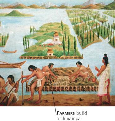 CULTIVANDO - los granjeros aztecas crecieron cosechas en los diagramas artificiales del jardín llamados los chinampas, en el lago.