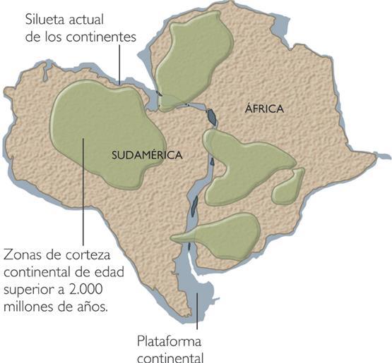 especialmente entre Sudamérica y África. Si en el pasado estos continenteshubieran estado unidos formando solo uno (Pangea), es lógico que los fragmentos encajen.