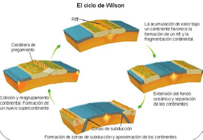 CICLO DE WILSON Los fenómenos térmicos del interior de la Tierra, que periódicamente dan lugar a procesos de fragmentación y de colisión continental,fueron