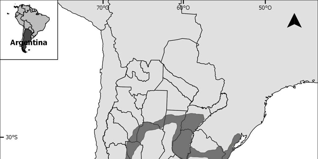 Distribución ARGENTINA lugar clave para
