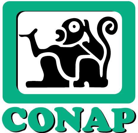 CONAP El 7 de febrero de 1989 se crea el Consejo Nacional de Áreas Protegidas