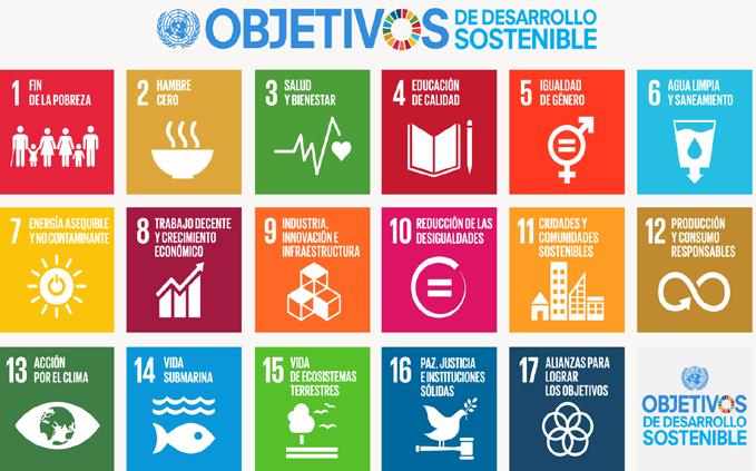 Nuestro papel en la Agenda 2030 Cumbre de Desarrollo Sostenible (septiembre 2015). 194 Jefes de Estado y de Gobierno adoptaron la Agenda de Desarrollo 2030.