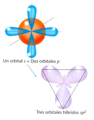 Hibridación sp 2 o trigonal: Se produce al combinarse un orbital s con dos orbitales p del mismo átomo, dando lugar a tres orbitales híbridos que adquieren una configuración plana triangular, los