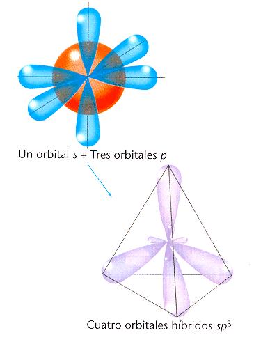 Esta hibridación da lugar a cuatro orbitales híbridos que se dirigen desde el centro de un tetraedro a sus vértices (geometría tetragonal), se combinan un