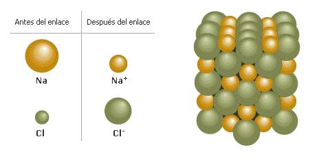 Como recordarás, cuando dos átomos se unen para formar moléculas hay un intercambio de electrones de valencia, que