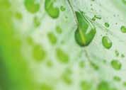 Su microestructura esta basada en la estructura de las hojas de la planta de loto, conocida por sus propiedades autolimpiantes, denominado efecto loto.