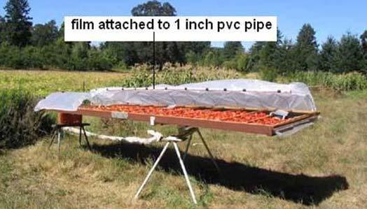 En un secador de 4 x 16 pies con una altura de la cubierta de 10 pulgadas, un ángulo de inclinación de 3 grados y dos bandejas de secado de 4 x 6 pies llenas de tomates frescos, la temperatura sobre