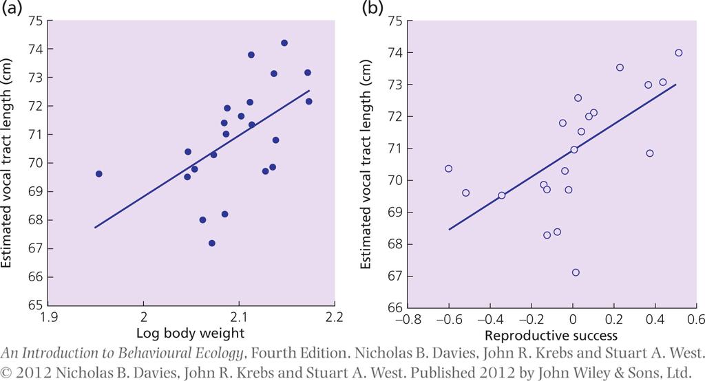 Evaluación entre contendientes en ciervos colorados El largo del tracto vocal correlaciona positivamente con la masa corporal (a) y con el éxito reproductivo a lo largo de la vida (b).
