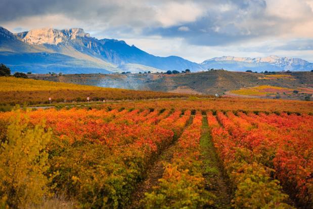 El vínculo entre bodegas, turismo, gastronomía, arquitectura y arte está reinventando una de las comarcas más atractivas del panorama vitivinícola internacional.
