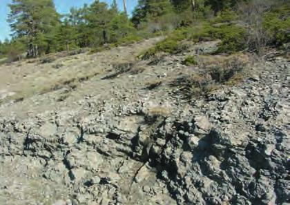 9 GEO > Sierra de Orea Tanto las cenizas como los aglomerados evidencian que la lava estuvo en contacto con agua.