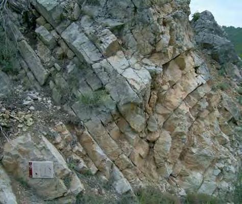 Barranco de la Hoz > Cuevas Labradas 5 GEO PARADA 9 Edad de la roca: calizas y dolomías del Jurásico inferior Edad del proceso: Terciario, orogenia Alpina (plegamiento) Partes de un pliegue
