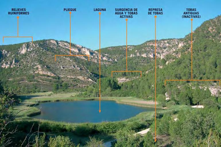 Laguna de Taravilla > Salto de Poveda > Peralejos 7 GEO vel freático, donde pasa a formar parte de la zona saturada del acuífero, el dominio de las aguas subterráneas.