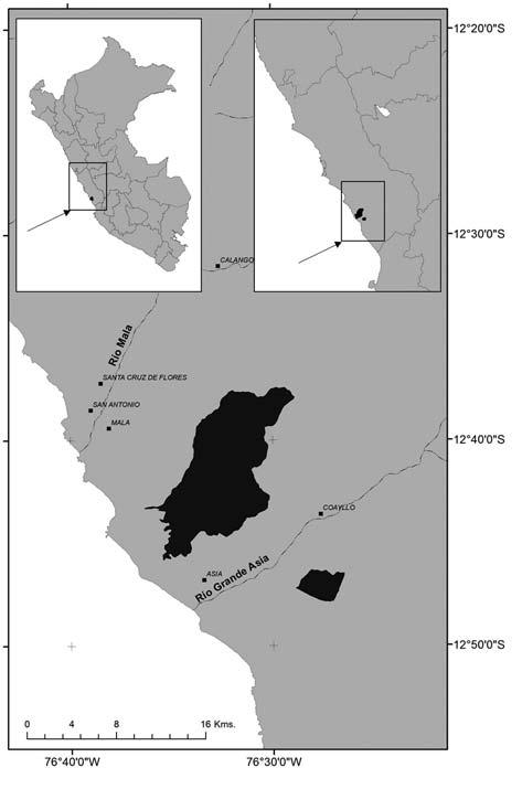 Lleellish Introducción Las lomas costeras son ecosistemas notables localizados en el desierto costero que comparten Perú y Chile (Lleellish et al. 2015).