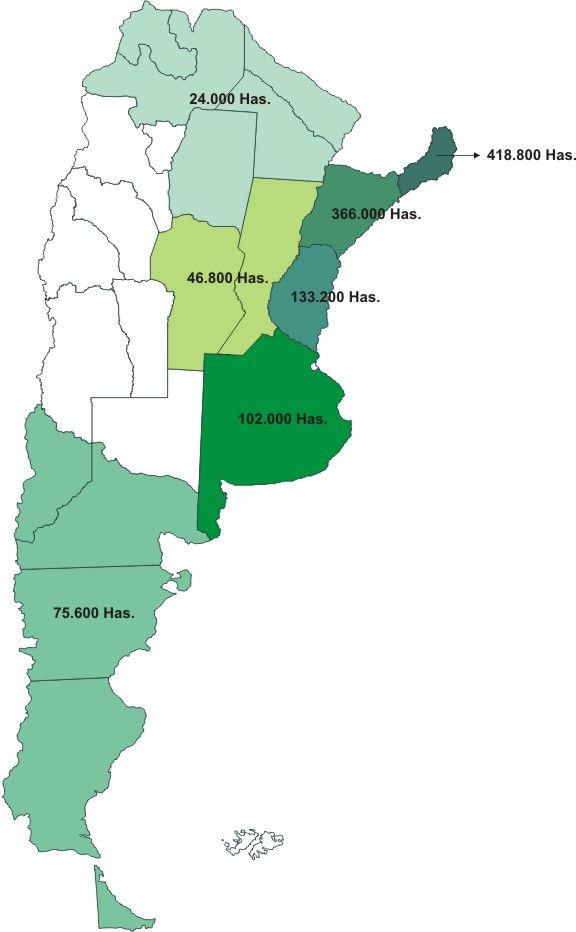 Un País con una importante superficie forestada que puede seguir el ejemplo de nuestros vecinos Ubicación de la Superficie Forestada en Argentina Argentina dispone actualmente de 1,2 millones de