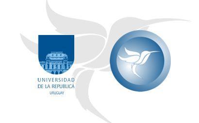 Desde fines de 2014 comienza a existir COLIBRÍ, el repositorio institucional de la UdelaR (https://www.colibri.udelar.edu.uy/).