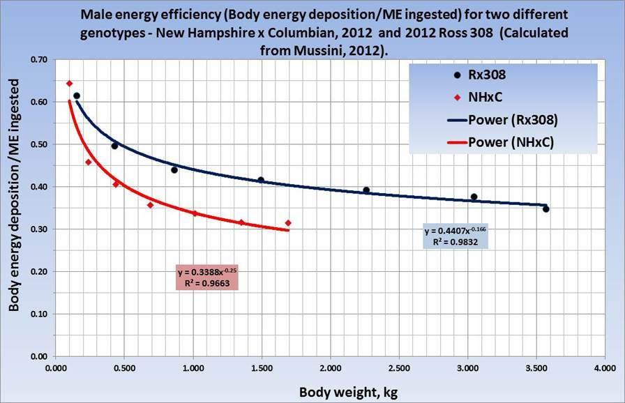 Eficiencia de Deposicion Energetica en Machos NHxC y Ross 308 Deposicion de