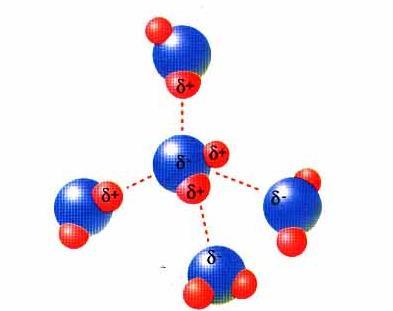 Son básicamente fuerzas de atracción dipolo-dipolo y existen dos tipos : Enlace (puente) de hidrógeno Se da entre moléculas muy polarizadas por ser uno de los elementos muy electronegativo y el otro