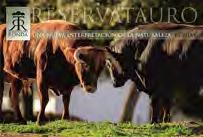 com Reservatauro es una ganadería de toros bravos y de caballos Pura Raza Español en un espacio declarado por la Unesco Reserva de la biosfera, propiedad del torero y ganadero Rafael Tejada.