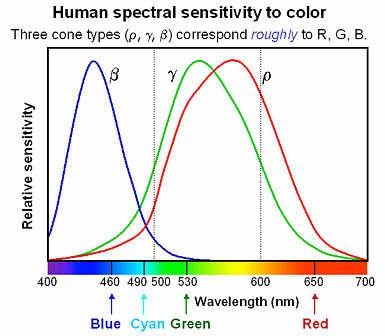 Sensibilidad espectral en humanos... prb 29 Discriminación de color.