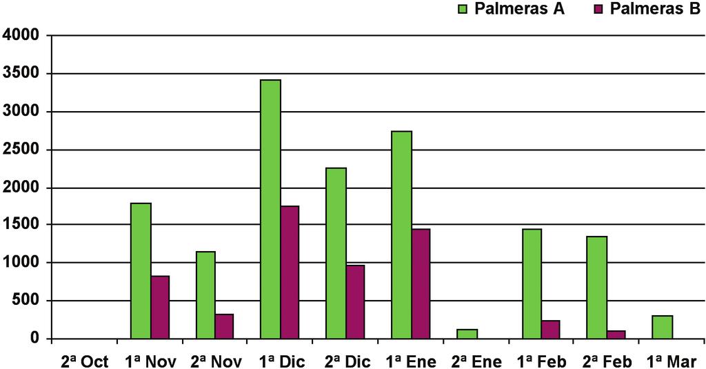 Comparación de las áreas más cercanas a la terminal (A) y las más alejadas (B) en la zona de palmeras durante el invierno de 2006-2007. Figure 4.