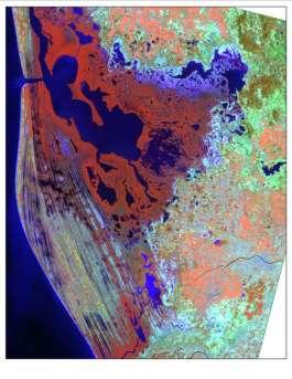 Imágenes de satélite Manglares de México Fuentes de información