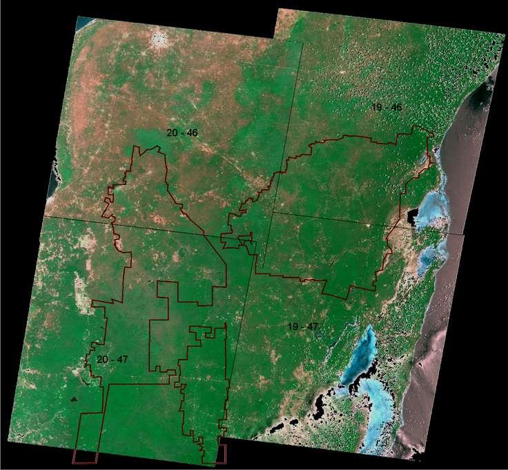 Imágenes Landsat ETM + Calakmul- Bala