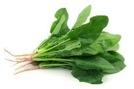 Espinaca Spinacea oleracea Variedad conocida por su alto valor nutricional y por su delicioso sabor. Muy fácil de cultivar 1. Alimento 1.