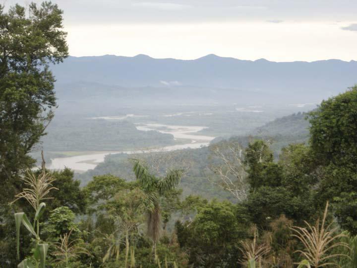 3. DESCRIPCIÓN DEL CONTEXTO Corresponde al ecosistema bosque húmedo tropical.