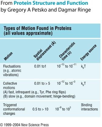 Flexibilidad de proteínas Los cambios estructurales grandes (por ejemplo alfa hélice a hoja beta) nunca ocurren en