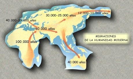 Homo sapiens L Homo sapiens va néixer a l Àfrica, fa uns 150.000 anys Es va diversificar en diferents poblacions i fa uns 70.