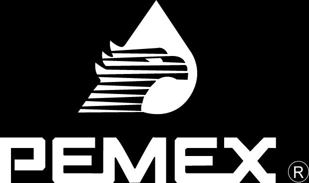 Plataforma Universidad Pemex, para impulsar la mejora del Desempeño Operativo