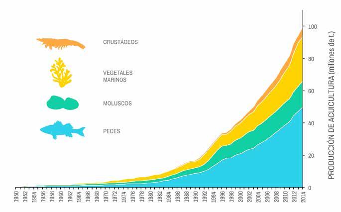 Figura 4. Evolución de la producción de acuicultura mundial (millones de t.), por grupos, para el periodo 1950-2014 (FAO).
