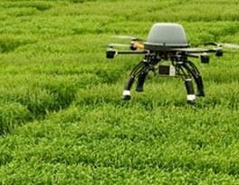 AGRICULTURA DE PRECISIÓN: DRONES Producción agrícola desde las alturas Anahí Castro Zelaya Conforme con la Organización de las Naciones Unidas (ONU), dentro de nueve años, en el 2025, el planeta