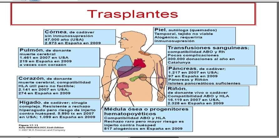 C) Cuáles transplante requieren de la compatibilidad sanguinea?