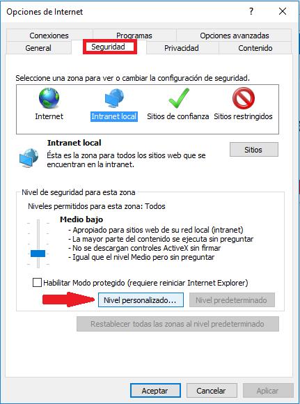 personalizado. Ilustración 3. Configuración nivel de seguridad del navegador Internet Explorer.