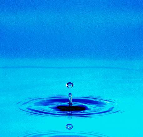 Calidad de los Componentes Agua purificada: carga microbiana <102ufc/mL (ISO 6222: 22 ±1ºC/68 ±4h) (Destilada, desmineralizada, desionizada o agua producida por