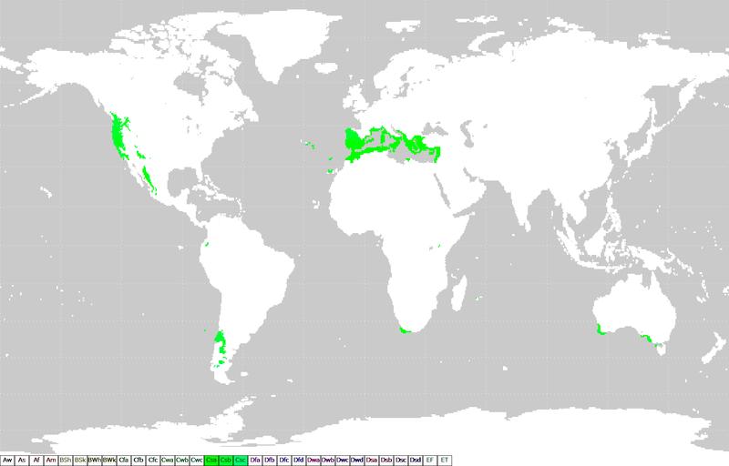Clima Mediterráneo Áreas de clima