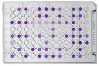 000 fenotipos de una célula microbiana en un solo experimento.
