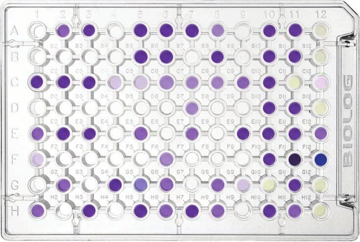 MICROARRAYS FENOTÍPICOS (PM): UNA TECNOLOGÍA REVOLUCIONARIA Los Microarrays Fenotípicos representan la tercera tecnología más relevante, junto con los microarrays de ADN y las tecnologías