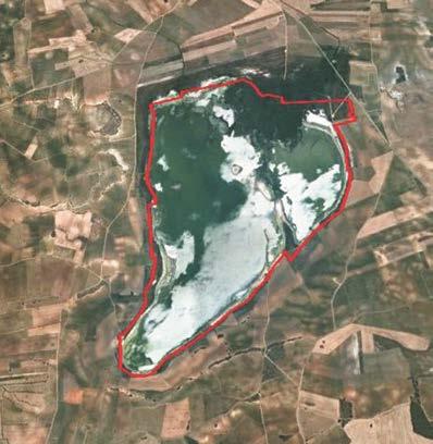Laguna de Manjavacas Castilla - La Mancha Nº Ramsar 20 (BOE nº 73 26/3/93) Coordenadas 39º 25 N / 02º 51 W Municipio Provincia Mota del Cuervo Cuenca Superficie espacio Ramsar: 236,2 ha Profundidad: