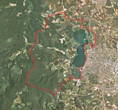Lago de Banyoles Cataluña Nº Ramsar 46 (BOE nº 14 16/1/03) Coordenadas 42º 7 36 N/ 2º 45 22 W Municipio Provincia Banyoles y Porqueres Girona Superficie espacio Ramsar: 1032,86 ha Profundidad: 0-45 m