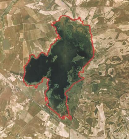 Laguna de Pitillas Comunidad Foral de Navarra Nº Ramsar 38 (BOE nº 278 18/11/96) Coordenadas 42º 24 55 N / 01º 34 55 W Municipio Provincia Pitillas, Santacara Navarra Superficie espacio Ramsar: