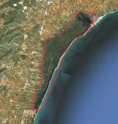 Prat de Cabanes-Torreblanca Comunidad Valenciana Nº Ramsar 17 (BOE nº 110 08/05/90) Coordenadas 40º 09 39 N / 0º 10 37 E Municipio Provincia Cabanes, Torreblanca Castellón Superficie espacio Ramsar: