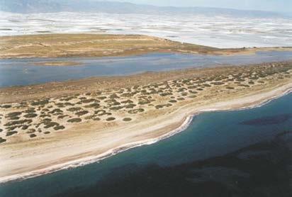Paraje Natural Punta Entinas-Sabinar Andalucía Nº Ramsar 53 (BOE nº 47 24/2/06) Coordenadas 36º 42 09 N / 02º 41 04 W Municipio Provincia Almería Almería Superficie espacio Ramsar: 1948,23 ha