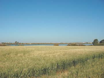 La laguna Medina se localiza en una posición interfluvial entre el río Guadalete y los drenajes meridionales de la Bahía de Cádiz, mientras la Laguna Salada representa un enclave endorreico con aguas