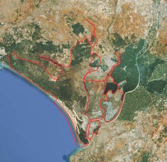 Doñana Andalucía Nº Ramsar 1 (BOE nº 199 (20/8/82) nº 47 (24/2/06)) Coordenadas Municipio Provincia 37º 01 N / 6º 25 W Almonte, Hinojos, Lucena del Puerto, Moguer, Palos de la Frontera, Aznalcázar,